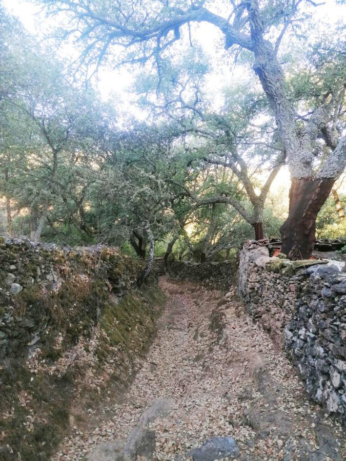 Casa Rural El Olivo Aracena Eksteriør billede