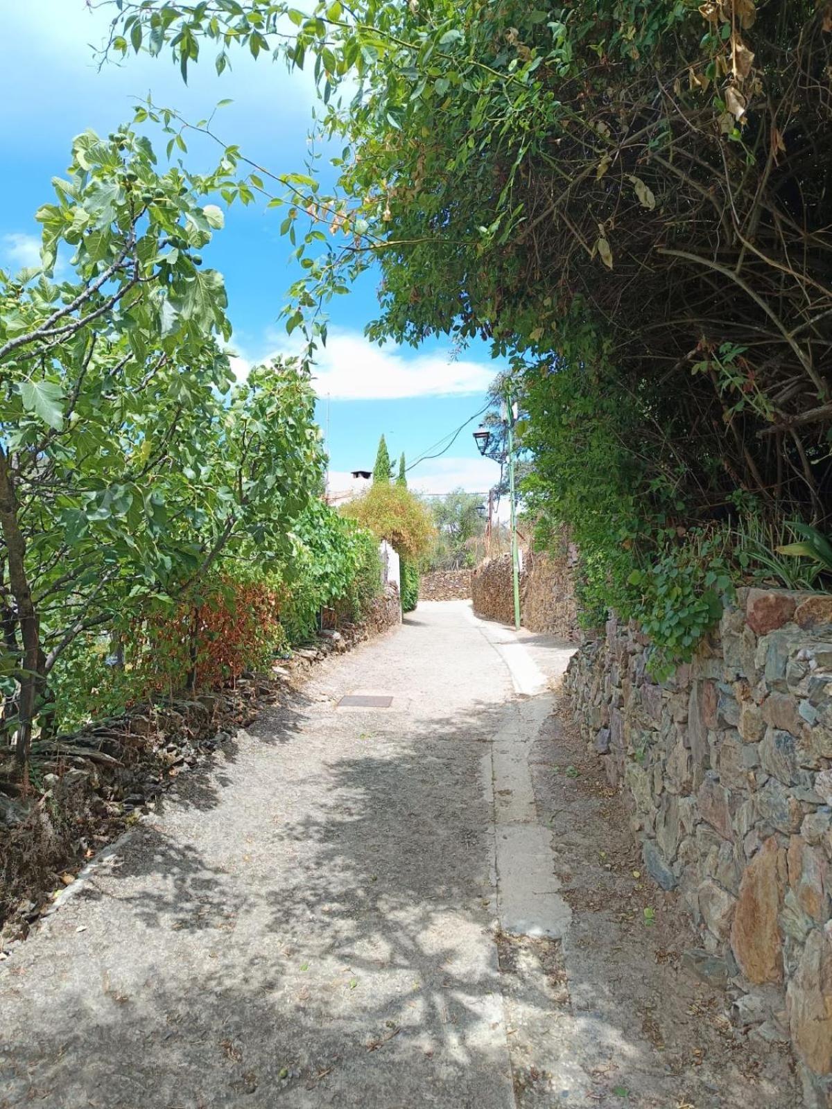 Casa Rural El Olivo Aracena Eksteriør billede