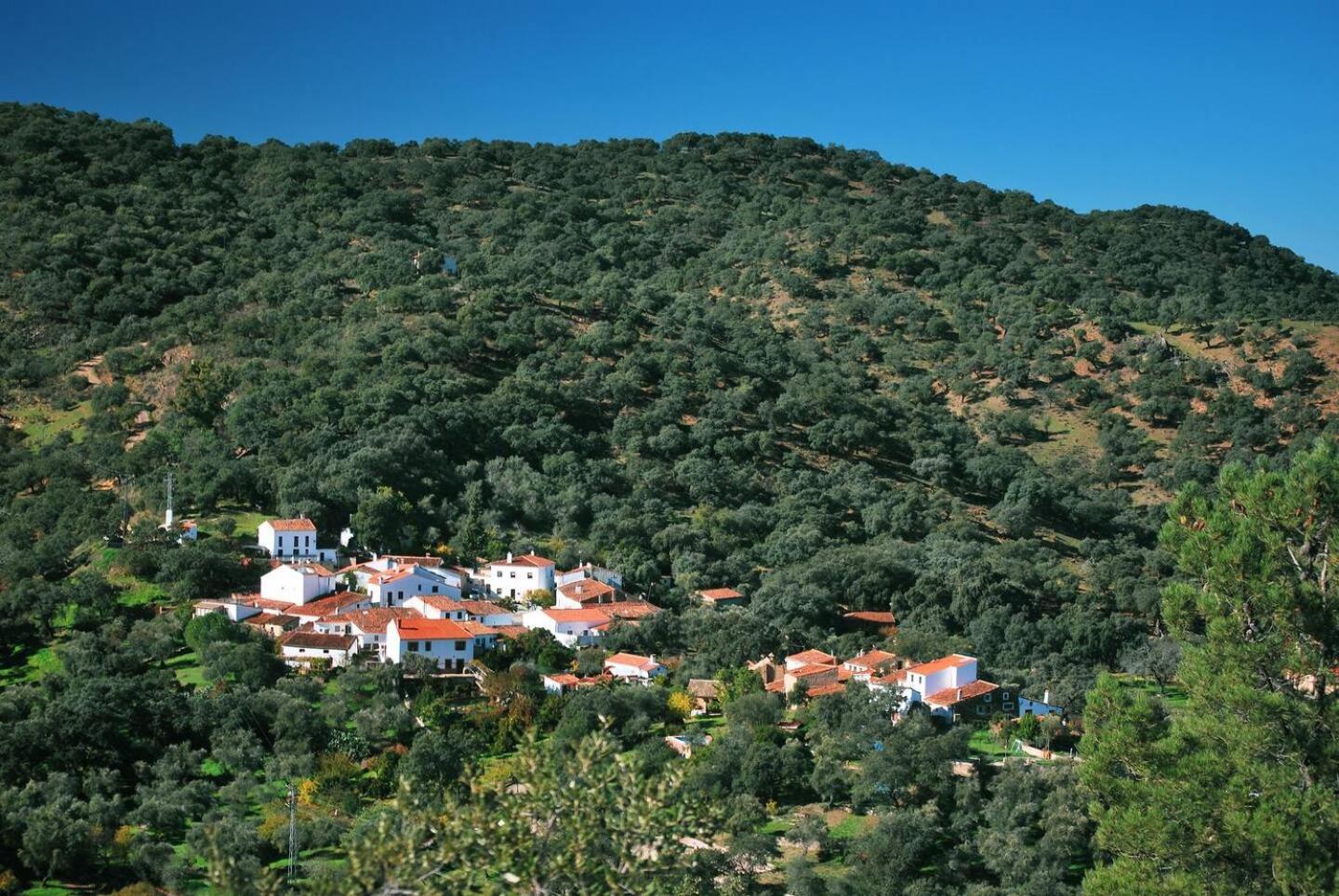 Casa Rural El Olivo Aracena Eksteriør billede